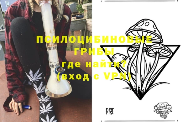 тгк Абаза