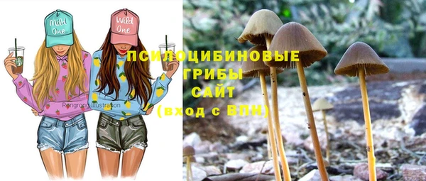 стафф Алексин